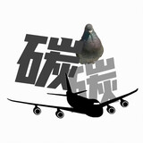carbonoxtantan