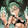 milemithra5