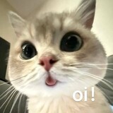 muyan_muyan
