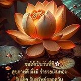 ดนัย สอนระเบียบ