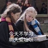 shijinglingna