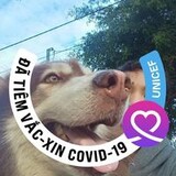 Đặng Hoàng Phúc_3117