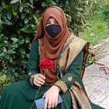Bulbul305