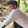 bili_1271518081