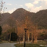 wuqinghannashao
