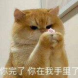 zhuzutongzhishijie