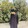 Yamin Israk