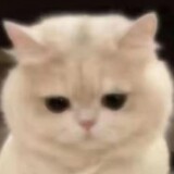 ____u_