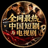 全网最热中国短剧与电视剧