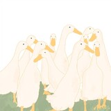 youqu116