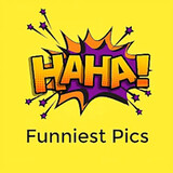 Funniest Pics