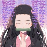 zhuojiuliuchen
