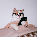 pipi___juchang