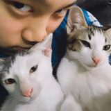 ชานมที่ชอบเล่นฟีฟาย
