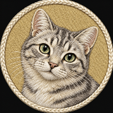 Cat Addiction