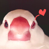 mumuxiaodepipi___