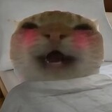 marisago_03
