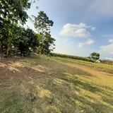 Tinadhana