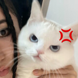 chenbuzhuqirrr