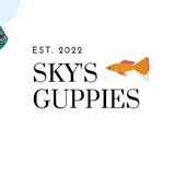 skyguppies