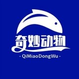 qimiaodongwupindao