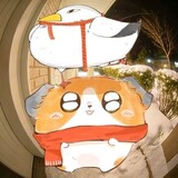 shuzaiheao