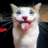 CatJoker