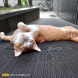 Santi_907