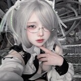 Shiro Neko_3785