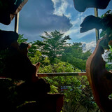 Canada_9687