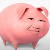 choupiyezhu