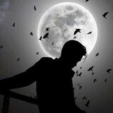 BlackFox-9