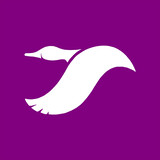 Goose Reviews