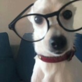 wannxzhdbm