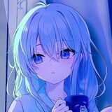 xiaommd
