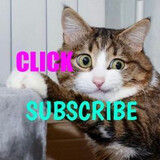 bili_1402982187