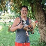 MANOKNIPAPAWIL