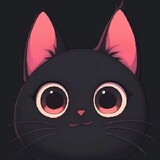 Rawrnimex