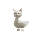 eavannn1