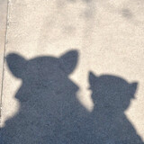 ya3yah___izhixinghan