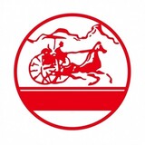 chemadianbing