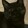 Amzar_24