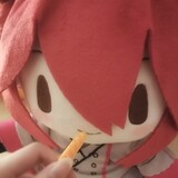 gaifanfanbushifan
