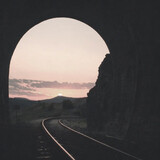 linglu_x