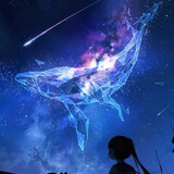 shanliuxingミ