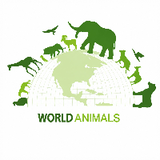 TheWorldOf Animal