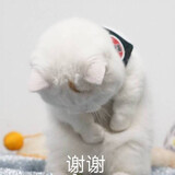 xiuxiuximi