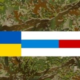 tiger_767