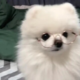 baozouwojiayouzi