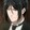 vhin_veean